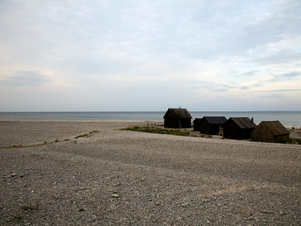 Five small brown houses near the sea.