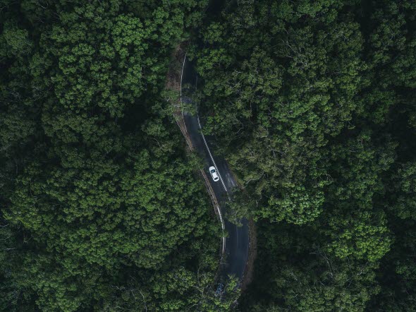 A car driving through the forest . The image is taken from above.