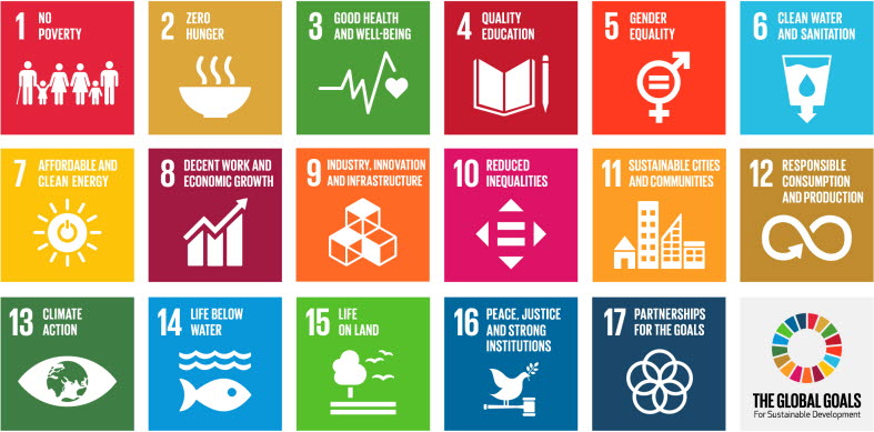 The Global Goals for Sustainable Development (SDGs). The 17 Global Goals for Sustainable Development (SDGs).
