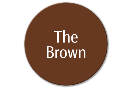 Carbon Exposure Index - The Brown