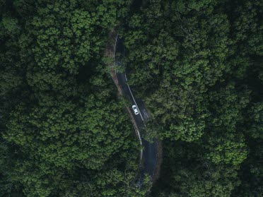 Forrest and a road seen from above
