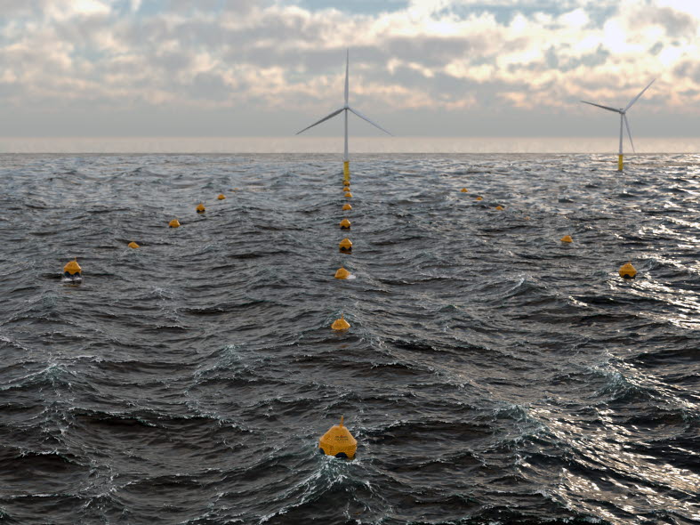 CorPower Ocean's wave energy clusters complement offshore wind in hybrid farms. 