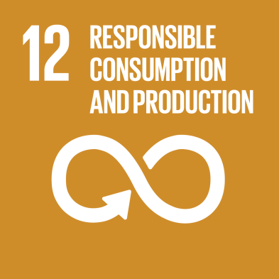 SDG Responsible consumption and production icon