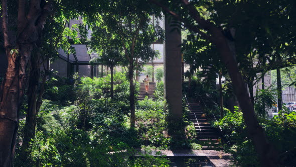 Image of two people walking in a park.