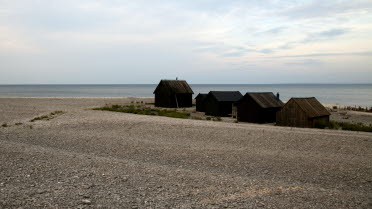 Five small brown houses near the sea.