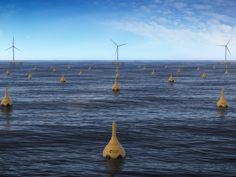 CorPower Ocean's wave energy clusters complement offshore wind in hybrid farms. 