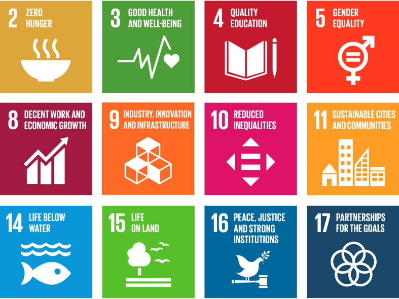 The 17 Global Goals for Sustainable Development (SDGs).