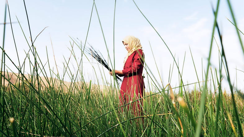 Woman in a field. Image copyright: © IFAD / Alfredo D'Amato / Panos 