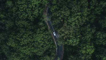 Forrest and a road seen from above